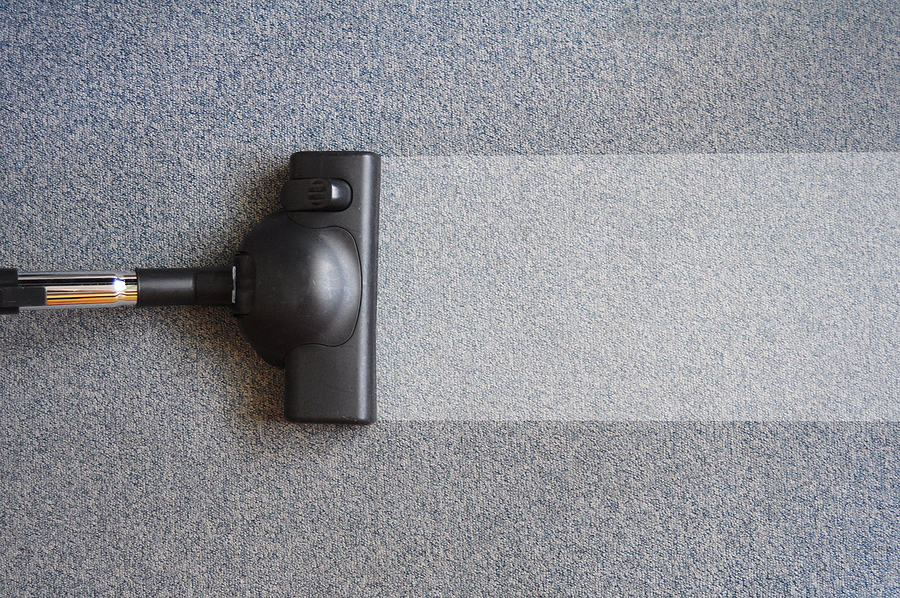 professional carpet cleaning in an office.